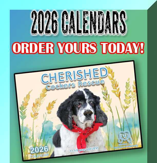 2026 Calendar