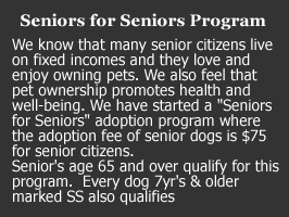 Seniors for Seniors